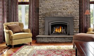 Napoleon Fireplace Inserts