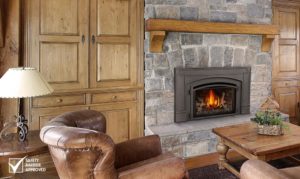 Napoleon Fireplace Inserts